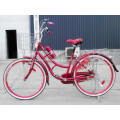 SKD Package Lady Bikes with Steel Frame